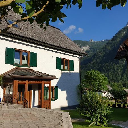 Appartement Haus 66 à Obertraun Extérieur photo