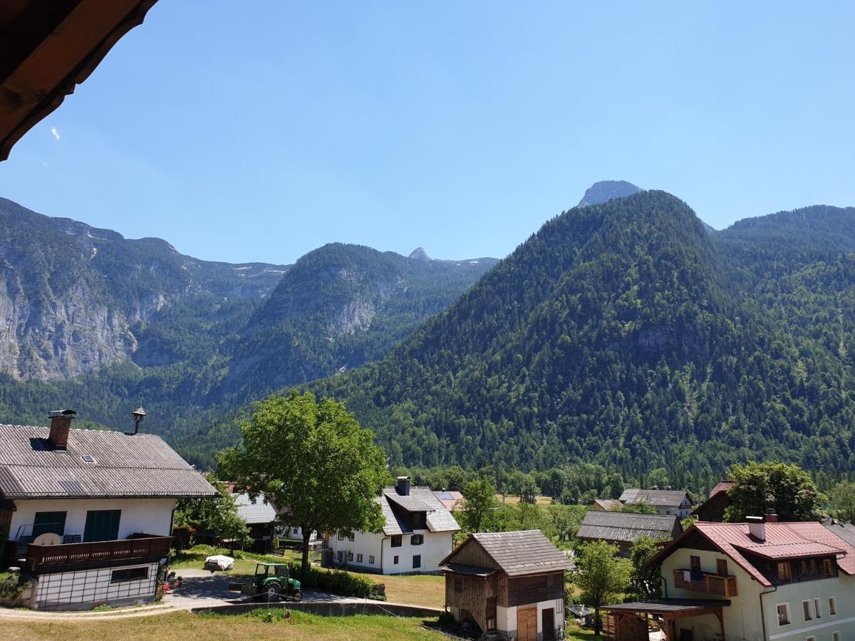 Appartement Haus 66 à Obertraun Extérieur photo