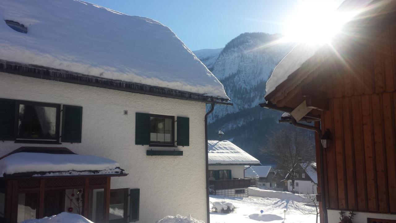 Appartement Haus 66 à Obertraun Extérieur photo